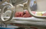 Bebé en una incubadora