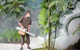 Un brote de dengue se extiende por Centroamérica