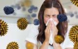 Virus causantes de la gripe