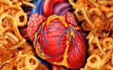 Componentes nutricionales desaconsejados para enfermos cardiacos