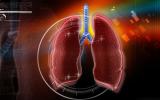Pulmones vistos por toracoscopia