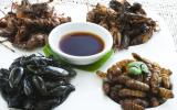 Los insectos comestibles más consumidos