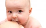 La lactancia materna mejora el desarrollo del cerebro