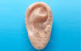 Mapa de puntos específicos de dolor en la oreja