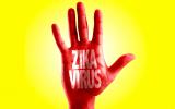Alerta global de la OMS contra el virus Zika