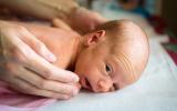 Las manos de una madre sujetan a su bebé prematuro, que está tumbado boca abajo