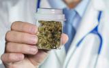 El cannabis medicinal podría aliviar síntomas de cáncer