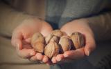 Comer nueces favorece un envejecimiento saludable
