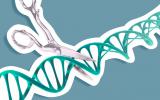 Concepto de edición genética CRISPR