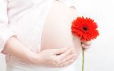 Mujer embarazada sosteniendo una flor