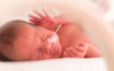 Asocian el distrés respiratorio en bebés prematuros con un hongo