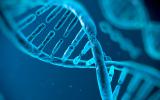 Hebra genética de ADN humano