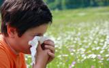 Un niño se suena la nariz en el campo en primavera