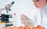 Científica en laboratorio investigando la salmonella
