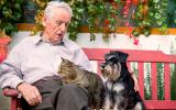Anciano sentado en un banco junto a un gato y un perro