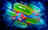 Superbacterias resistentes a los antibióticos