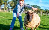Una niña juega con una oveja en el campo