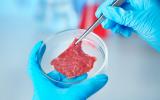 Carne artificial creada en laboratorios