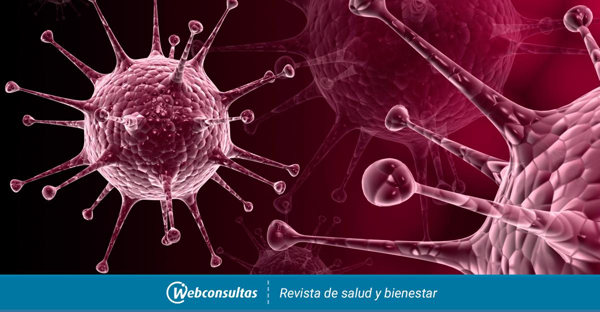 virus del papiloma y herpes