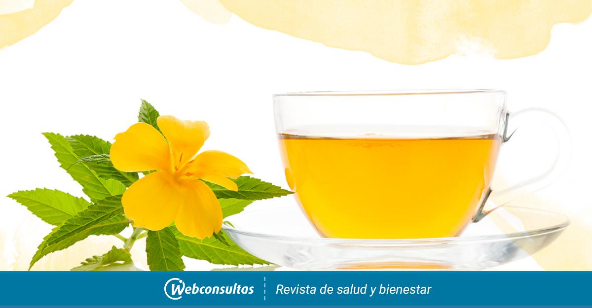 Como Se Toma La Damiana Remedios Herbarios Y Precauciones De Uso