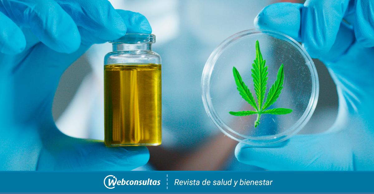 CBD: ¿Qué tiene el aceite de cannabis que está causando furor en EE UU?, Salud, BuenaVida