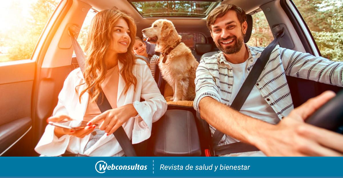 evitar que tu perro se maree en el coche y