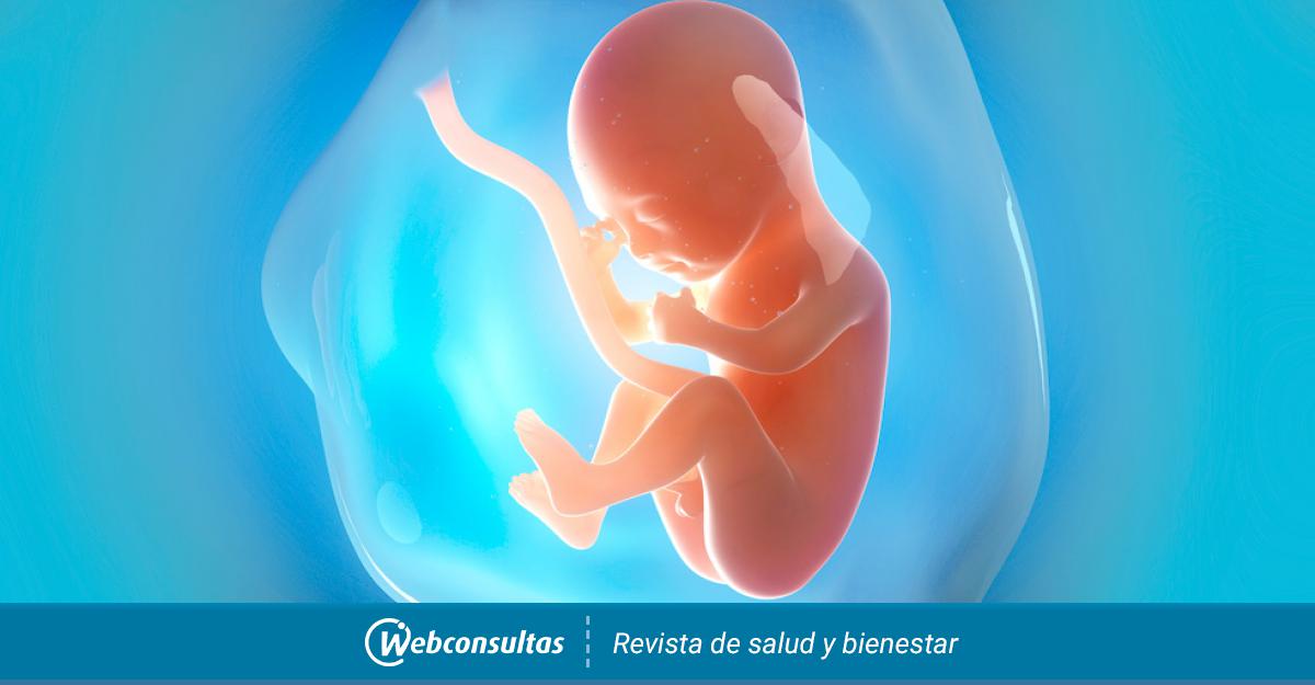 El aliado para tu embarazo ahora se llama EXELVIT ESENCIAL. Con una fórmula  completa e innovadora que ayuda al correcto funcionamiento del sistema  inmune, By Ser Mujer