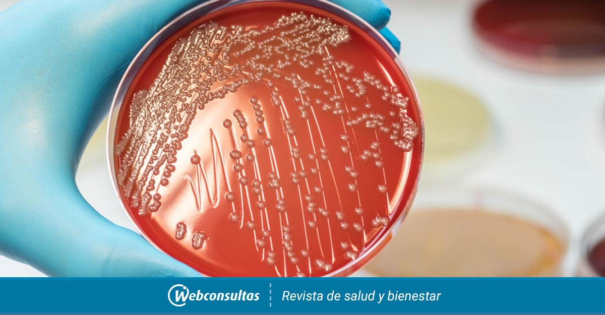 E. coli parazita, Escherichia coli féreg