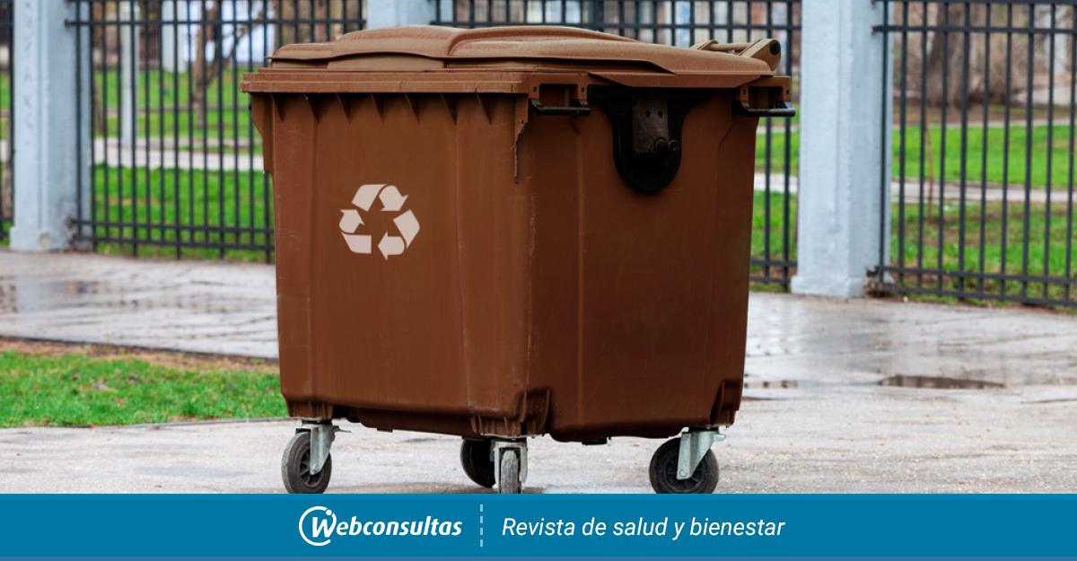 Quinto contenedor: qué residuos reciclar en el cubo marrón