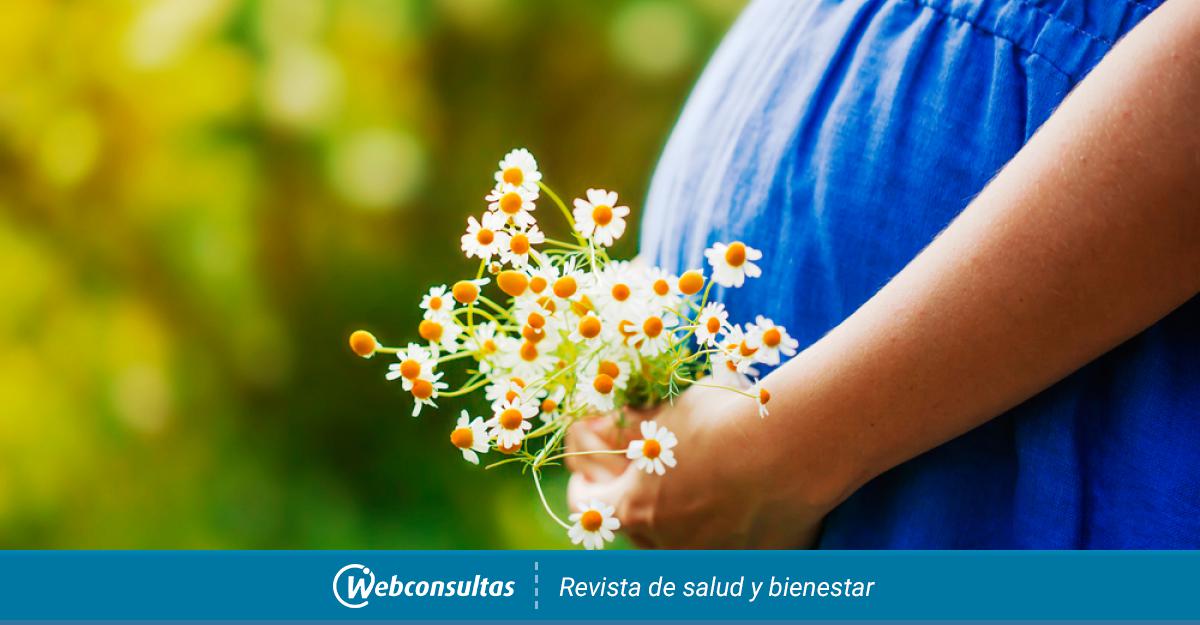 Plantas Medicinales Durante El Embarazo Cuales Son Peligrosas