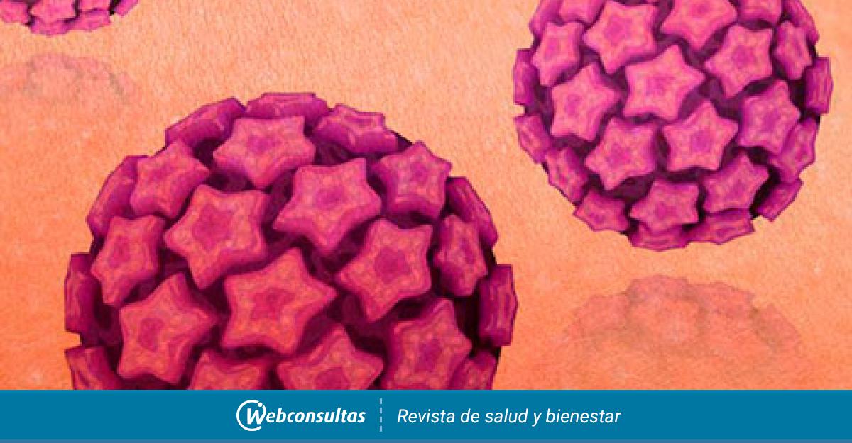 virus del papiloma noxa human papillomavirus infection long term effects