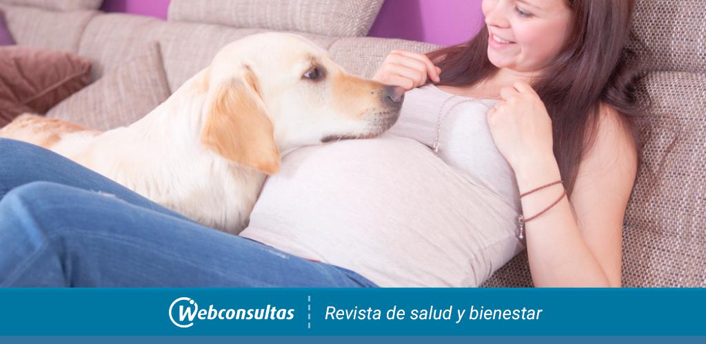un perro en el embarazo es beneficioso para la salud