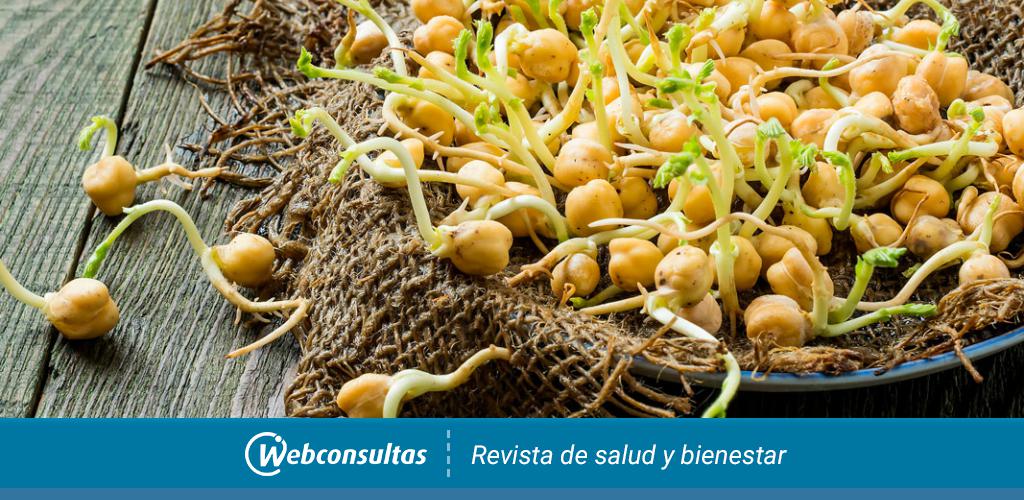 Germinando 101 - Cómo germinar frijoles y semillas - Centro de Estudios en  Nutrición