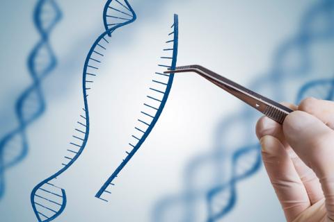 CRISPR, herramientas de edición genética