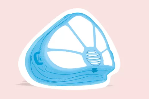 Qué son y dónde comprar las mascarillas elastoméricas Mascarillas elastoméricas