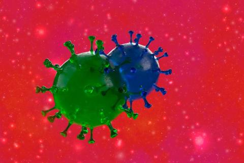 Variante Delta del coronavirus: síntomas, vacunas, dudas…