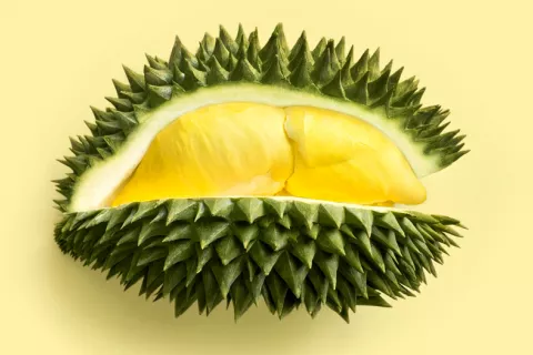 Durian, how to eat the stinkiest tropical fruit