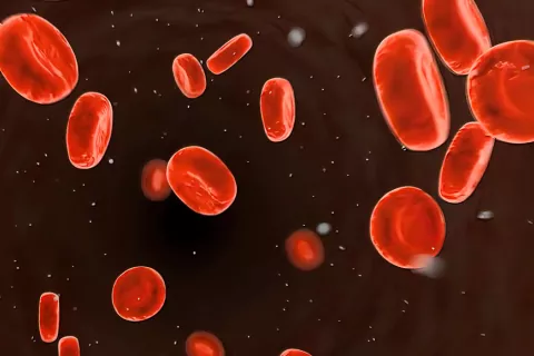 Por qué suben las plaquetas y cuándo es signo de cáncer Plaquetas altas