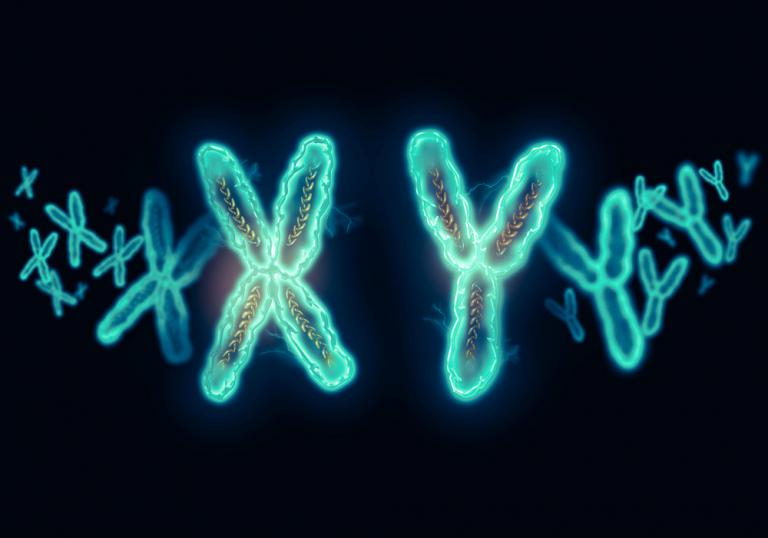 Secuencia de cromosomas XY