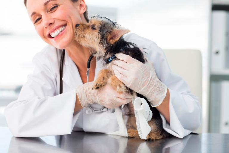 Veterinaria junto a un perro en actitud cariñosa