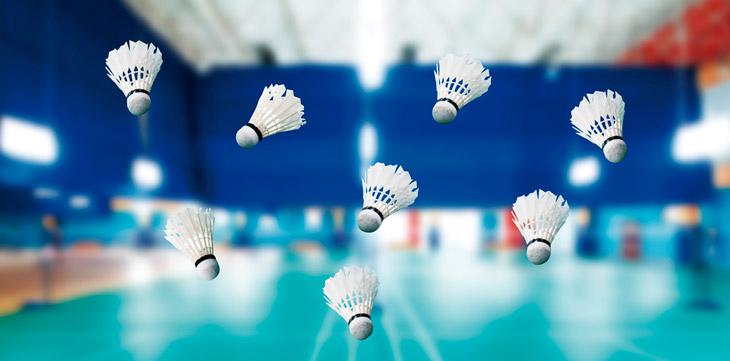 Plumas de badminton