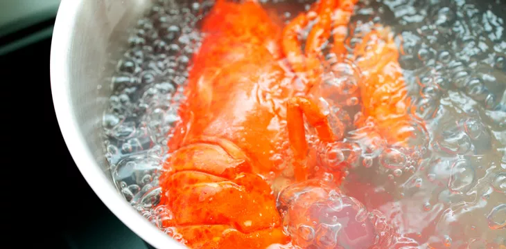 Gambas
