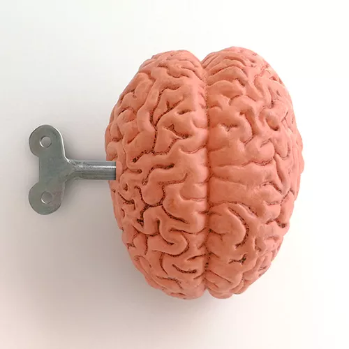 Activación del cerebro