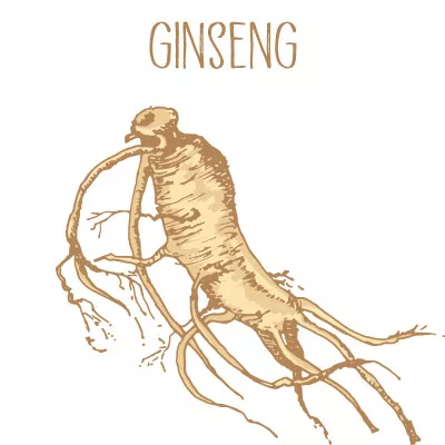 ginseng