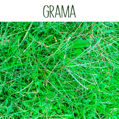 Grama