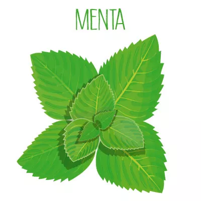 Menta