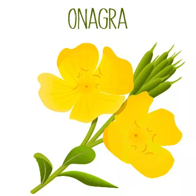 Onagra