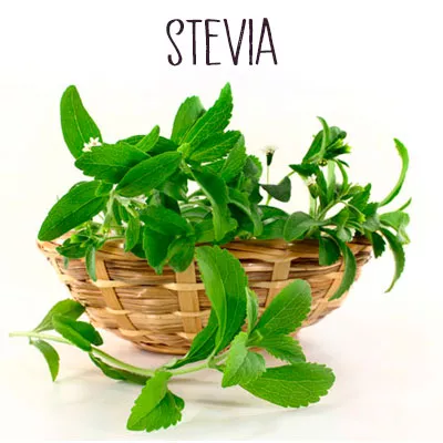 Stevia