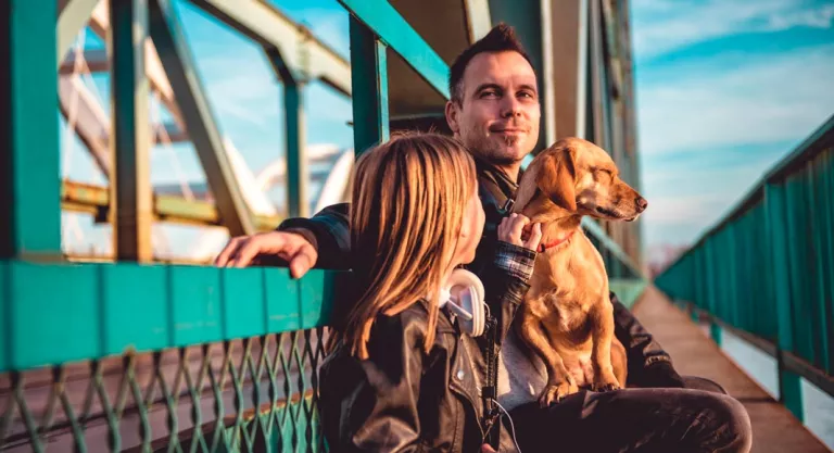 Mascotas tras un divorcio