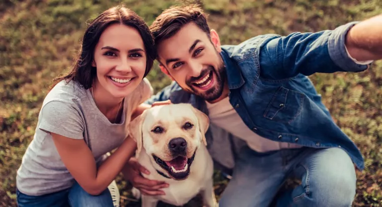 Consejos de compra del labrador